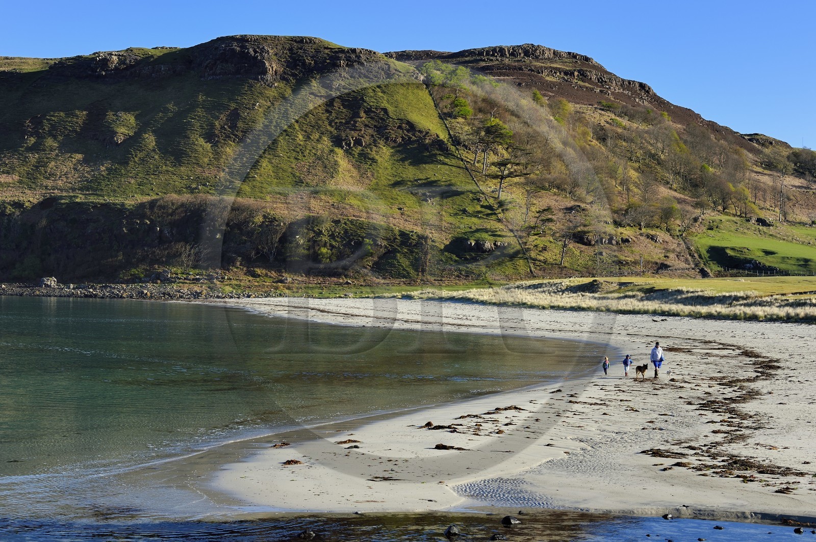 Royaume-Uni, Ecosse, Highland, Hébrides intérieures, Ile de Mull, plage de la Baie de Calgary