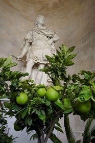 France, Yvelines (78), château de Versailles, classé Patrimoine Mondial de l'UNESCO, l'Orangerie en hiver de Jules Hardouin-Mansart