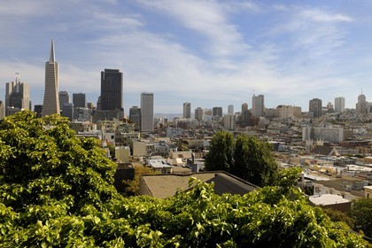 Etats-Unis, Californie, San Francisco, financial district, Transamerica Pyramid Building par l'architecte William Leonard Pereira
