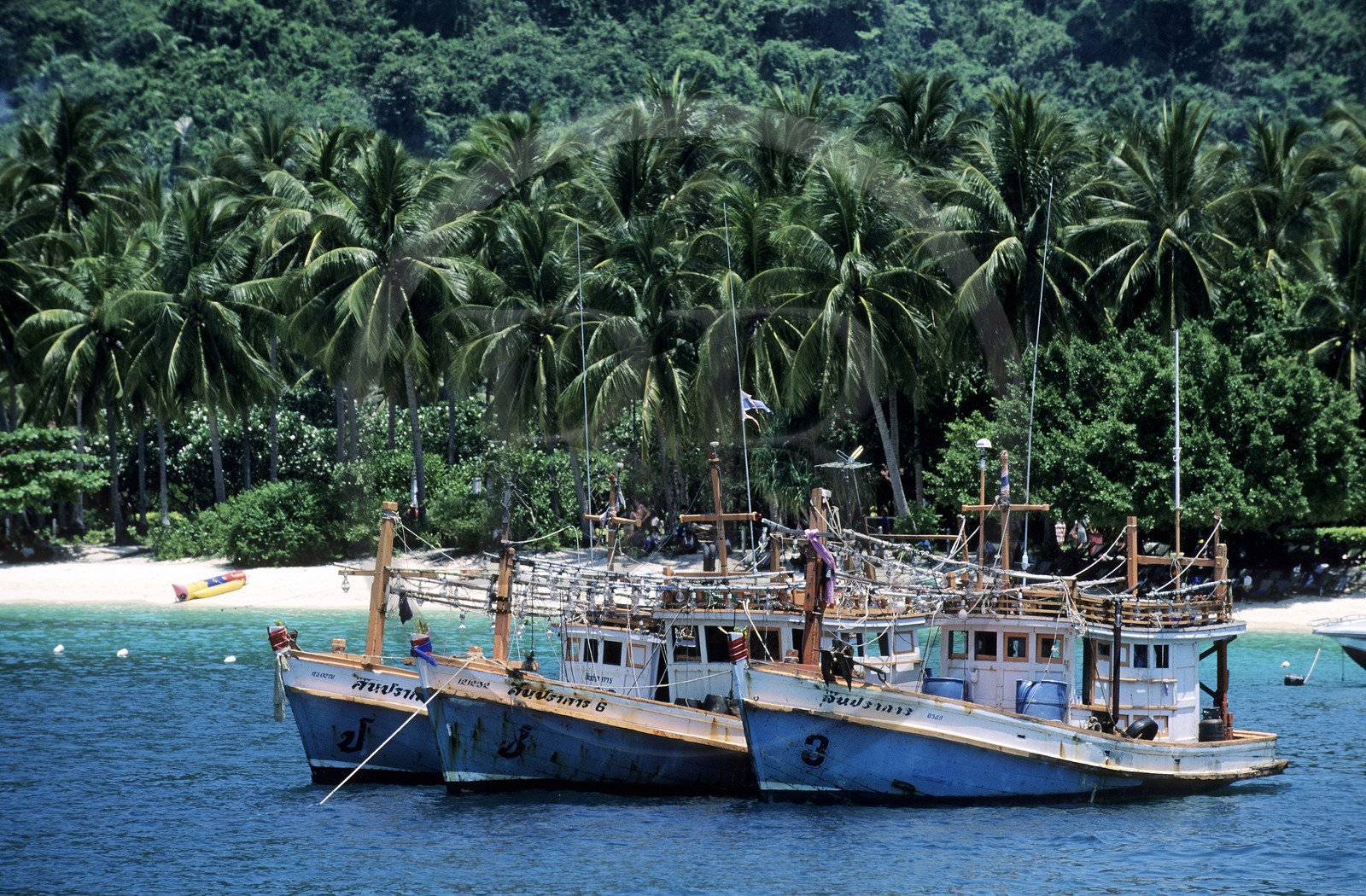 Thaïlande, Archipel de Ko Phi Phi, île de Phi Phi Don, le port de Ton Sai Bay