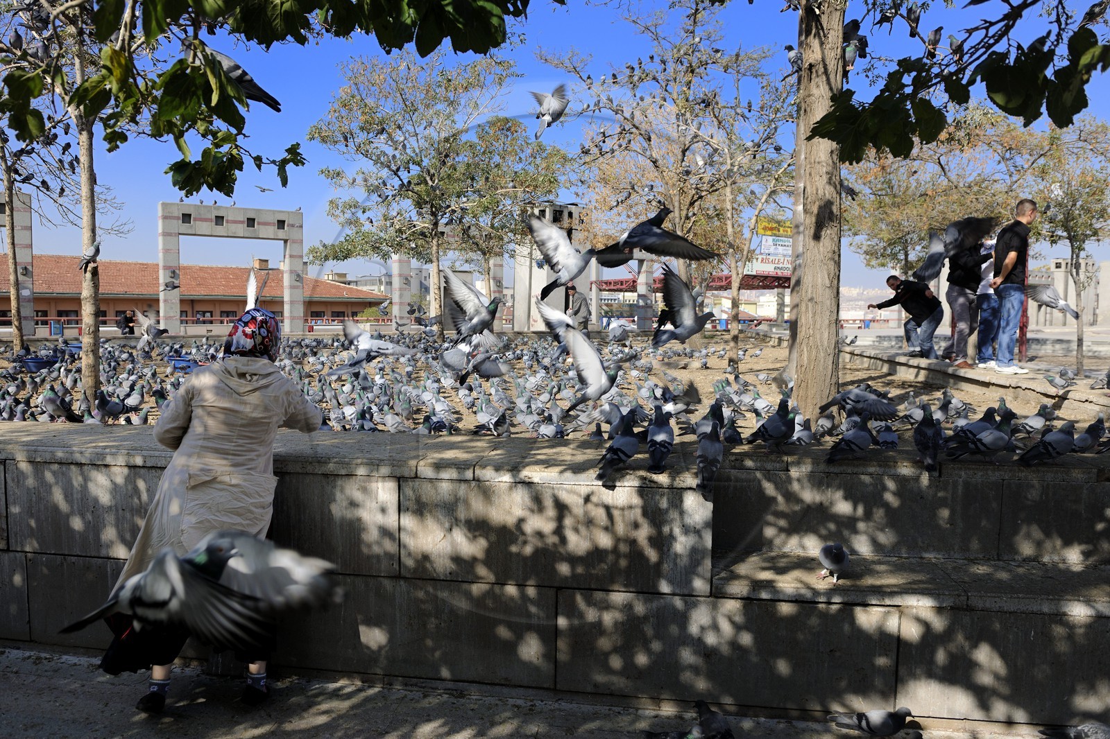 Turquie, Anatolie centrale, Ankara, petite place aux pigeons devant le temple d'Auguste