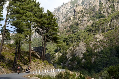 France, Haute-Corse (2B), Corte, Vallée de la Restonica