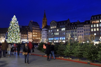 France, Bas-Rhin (67), Strasbourg, vieille ville classée Patrimoine Mondial de l'UNESCO, le Grand Sapin de Noël de la place Kléber et la Cathédrale Notre Dame en arrière plan, vente de sapins de Noël au premier plan