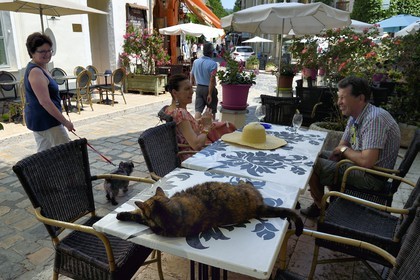 France, Vaucluse (84), Parc Naturel Regional du Luberon, Lourmarin, labellisé Les Plus Beaux Villages de France,