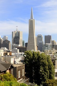 Etats-Unis, Californie, San Francisco, financial district, Transamerica Pyramid Building par l'architecte William Leonard Pereira