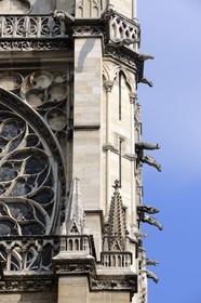 France, Paris (75), ile de la Cité, la Sainte Chapelle, gargouilles de la façade