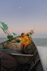France, Seine-Maritime (76), au large de Veules-les-Roses à l'aube, pêche au filet à bord du bateau La Pomme appartenant à Anthony Paumier le plus jeune patron de pêche de France