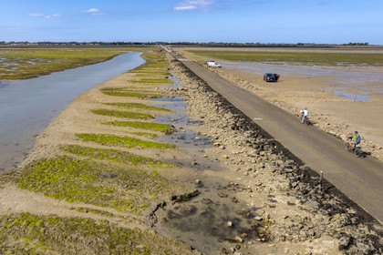 France, Vendée (85), île de Noirmoutier, Barbatre, cyclistes sur le passage du Gois, chaussée submersible qui relie l'île au continent à marrée basse (vue aérienne)