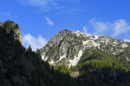 France, Alpes-Maritimes (06), parc national du Mercantour, Haute-Vésubie, vallon de la Gordolasque