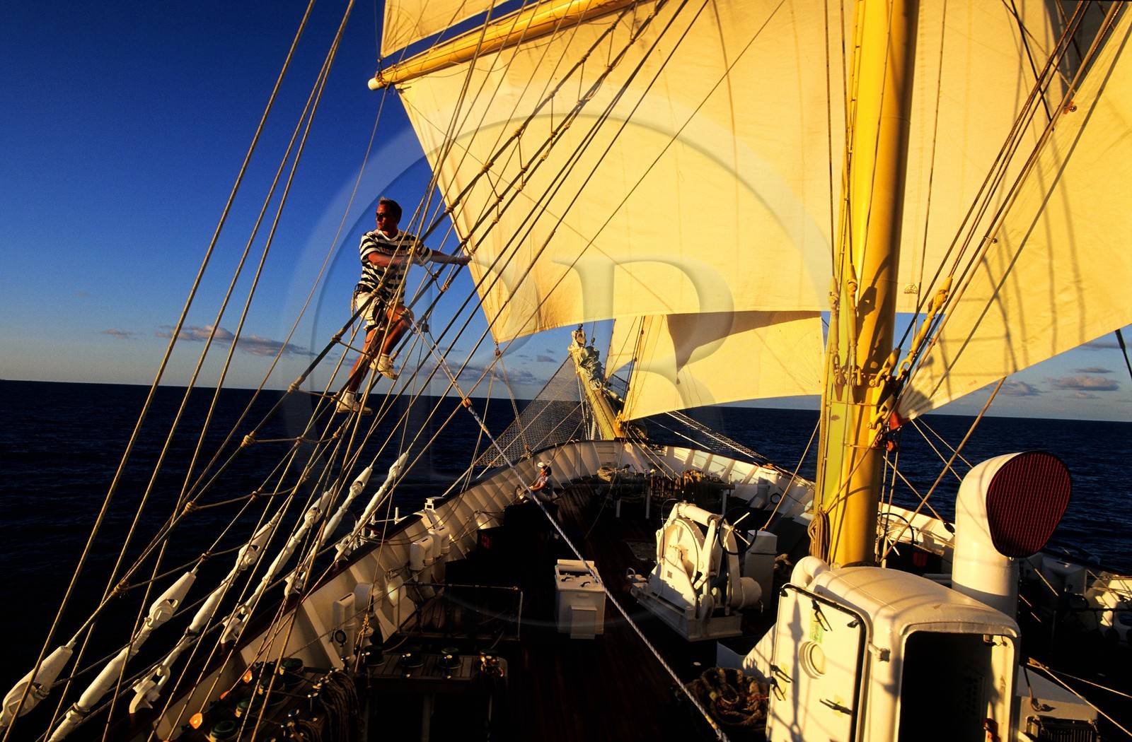 Caraïbes, le 5 mâts SPV Royal Clipper toutes voiles dehors, un marin grimpe dans les voiles