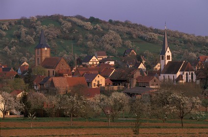 France, Bas-Rhin (67), Kirrwiller, l'église catholique côte à côte avec le temple protestant