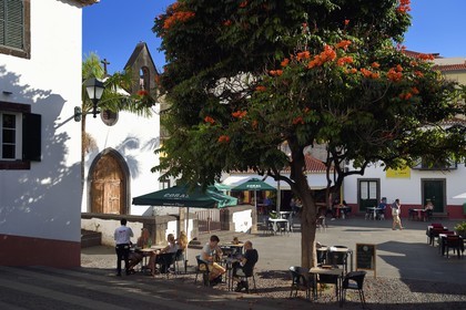 Portugal, Ile de Madère, Funchal, place Largo do Corpo Santo