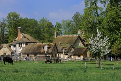 France, Yvelines (78), château de Versailles, classé Patrimoine Mondial de l'UNESCO, le domaine de Marie-Antoinette, le Hameau de la Reine, la ferme