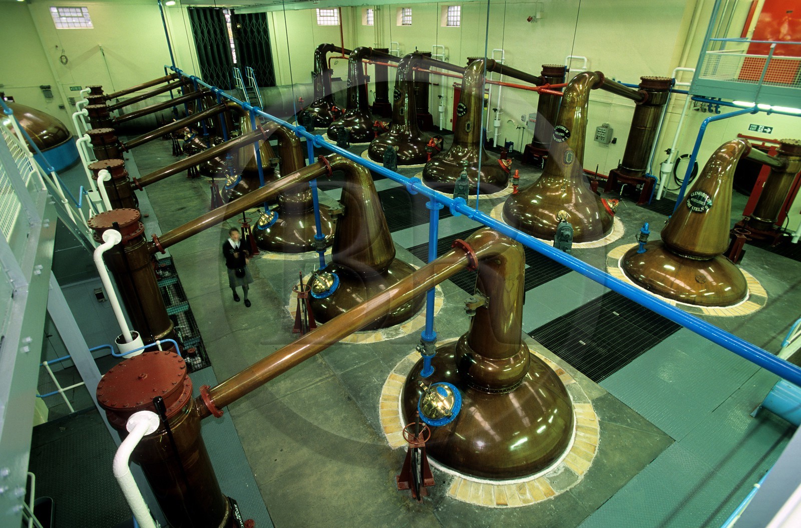 Royaume-Uni, Ecosse, Moray, Dufftown, distillerie de Glenfiddich, alambics en cuivre traditionnel pour la double distillation du whisky