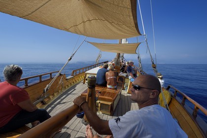France, Alpes-Maritimes (06), Saint-Jean-Cap-Ferrat, sortie en mer sur le bateau Santo Sospir avec l'association SOS Grand Bleu pour l'observation des dauphins et des baleines dans le Sanctuaire Pelagos