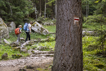 France, Alpes-Maritimes (06), parc national du Mercantour, Haute-Vésubie, Saint-Martin-Vésubie, Val du Haut Boréon, randonnée sur le GR 52 vers le refuge de Cougourde, balisage et signalisation du GR
