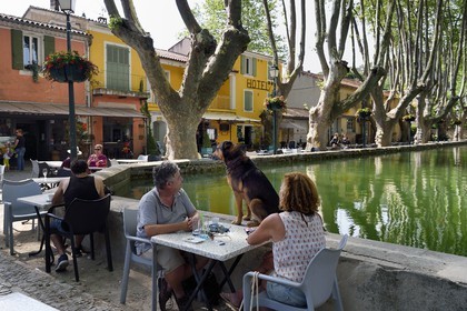France, Vaucluse (84), Parc Naturel Regional du Luberon, Cucuron, labellisé Les Plus Beaux Villages de France, bassin de l'étang qui alimentait un moulin entouré de platannes centenaires