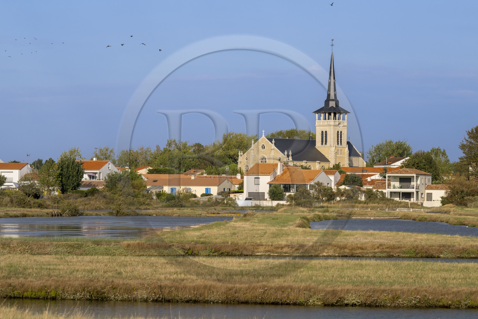 France, Vendée (85), L'Ile d'Olonne vers Les-Sables-d'Olonne, l'église Saint-Martin-de-Vertou en bordure des marais salants