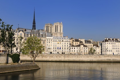 France, Paris (75), Ile de la Cité, Notre-Dame émergeant du quai aux fleurs et la pointe de l'île Saint-Louis sur la Seine