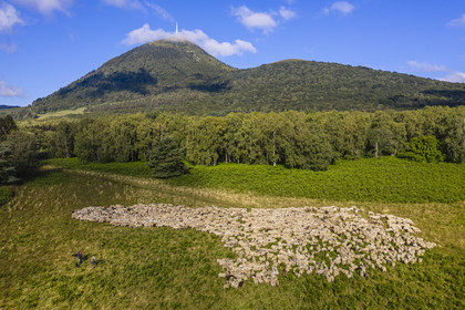 France, Puy-de-Dôme (63), Parc Naturel Régional des Volcans d'Auvergne, Chaine des Puys classée Patrimoine Mondial de l’UNESCO, les deux bergères Ostiane Vuillermoz et Charlotte Hevin gardant un troupeau de brebis Rava au pied du volcan Puy de Dôme (vue aérienne)