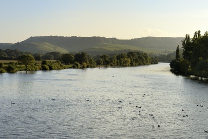 Luxembourg, district de Grevenmacher, région de la Moselle, Remich, la rivière Moselle marque la frontière entre l'Allemagne à gauche et le Luxembourg à droite