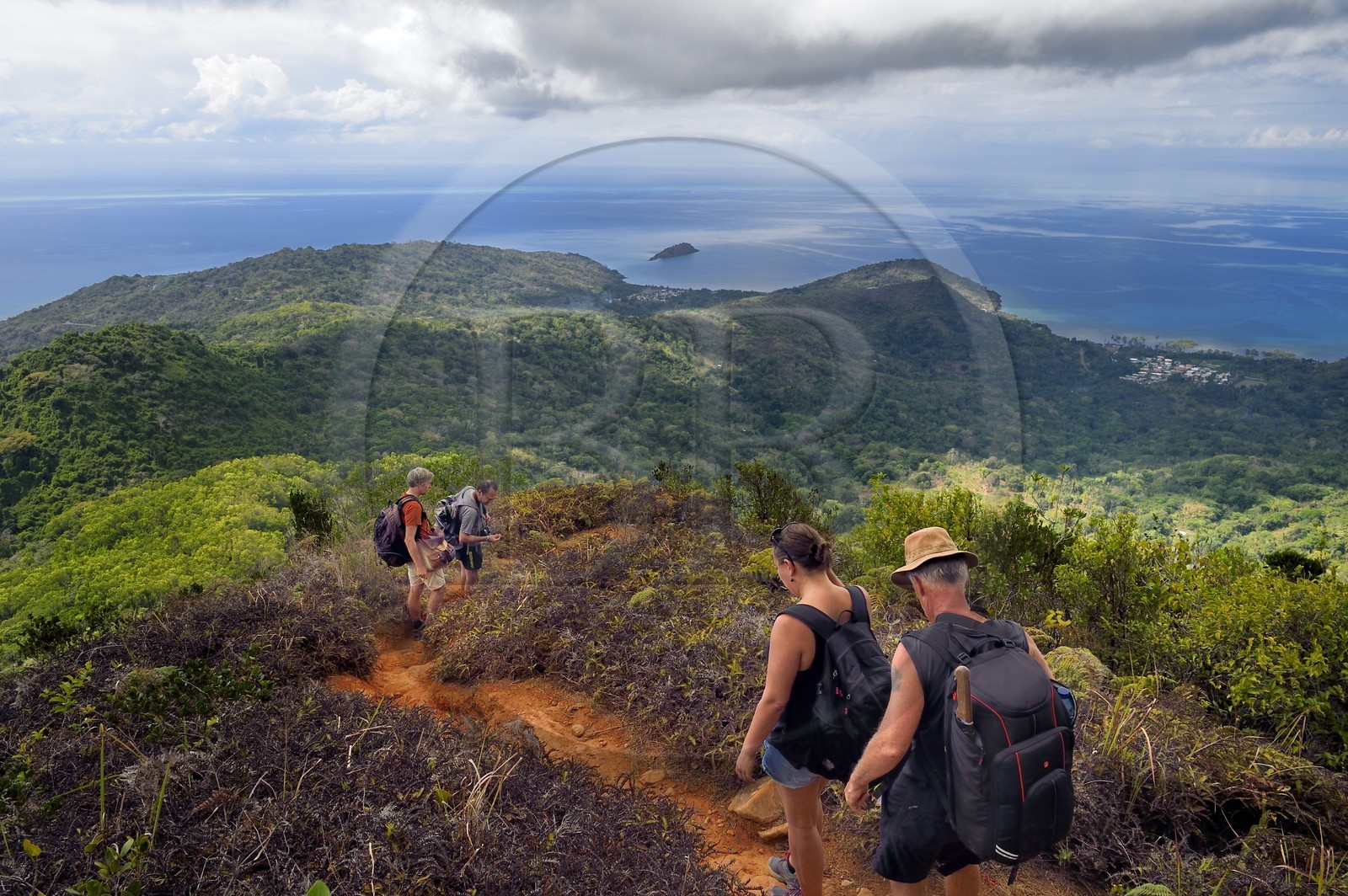 France, Ile de Mayotte, Grande-Terre, Réserve Forestière des Cretes du Sud, randonneurs redescendant du sommet du Mont Choungui (594 mètres)