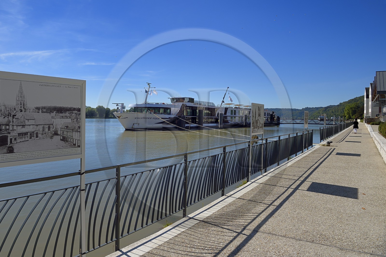 France, Seine-Maritime (76), Pays de Caux, Parc naturel régional des Boucles de la Seine normande, Caudebec-en-Caux, bateau de croisière fluviale à quai
