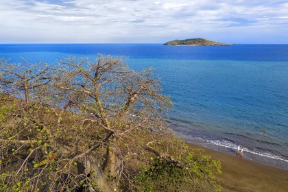 France, Ile de Mayotte, Grande-Terre, Nyambadao, baobab en bordure de la plage de Sakouli et ilot de Bandrélé en arrière plan (vue aérienne)
