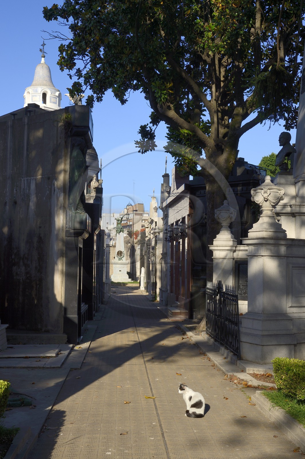 Argentine, Buenos Aires,  le cimetière de la Recoleta