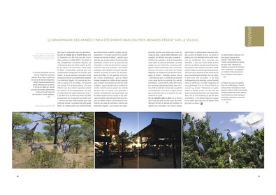 Grands reportages 351f