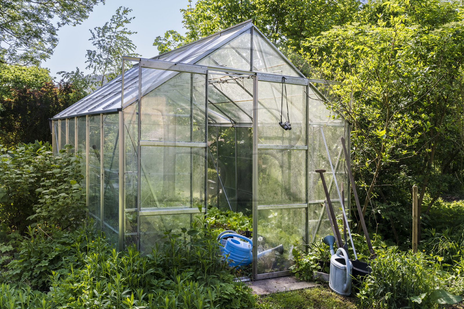 France, Bas-Rhin (67), Parc naturel régional des Vosges du Nord, Obersteinbach, Hotel Alsace-Village, serre pour les salades