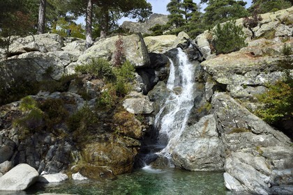 France, Haute-Corse (2B), Vivario, GR 20, étape entre le refuge de l'Onda et Vizzavona, foret de Vizzavona, les cascades des anglais, groupe de cascades dans la vallée de l'Agnone au pied du Monte d'Oro