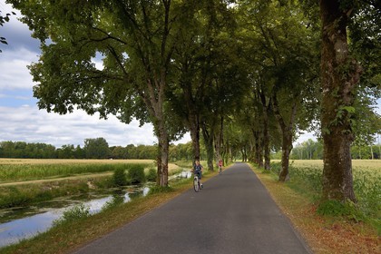 France, Dordogne (24), Périgord Blanc, Annesse-et-Beaulieu, la Véloroute Voie verte qui longe la partie canalisée de la rivière L'Isle