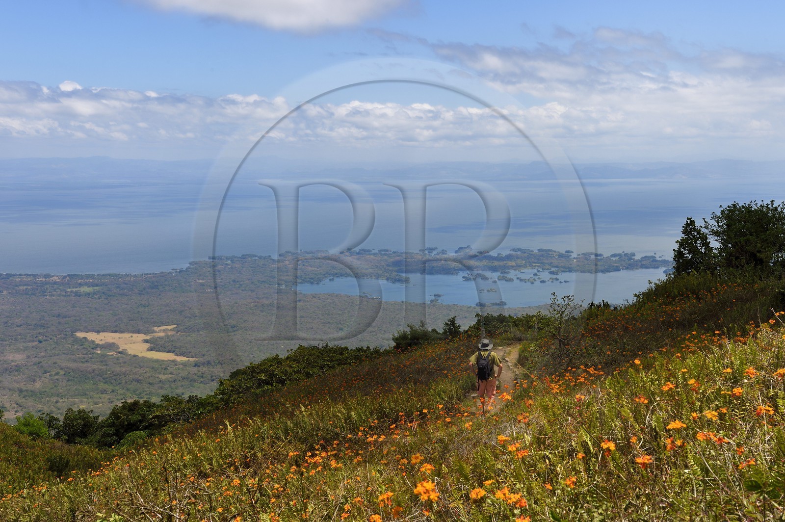 Nicaragua, département de Granada, Réserve naturelle du volcan Mombacho, vue sur Las Isletas de Granada dans le lac Nicaragua depuis les pentes du volcan