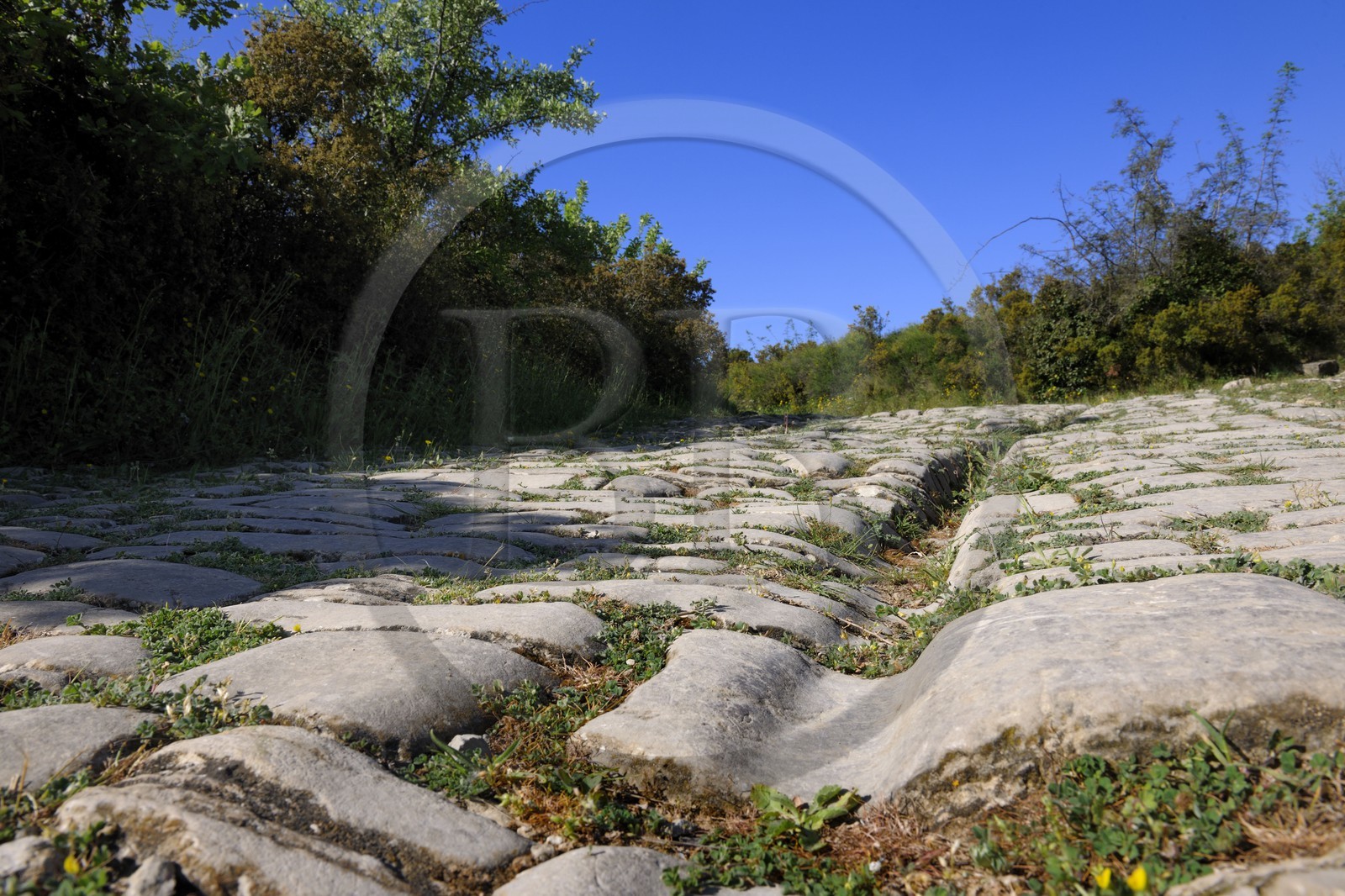 France, Hérault (34), près de Lunel, Oppidum d'Ambrussum ancien oppidum gaulois situé sur la Voie Domitienne (Via Domitia), rue pavée usées par le passage des chariots