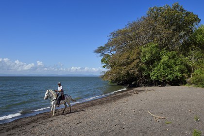 Nicaragua, Ile d'Ometepe sur le lac Nicaragua, cavalier en randonnée en bordure du lac