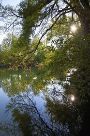 France, Charente (16), Saint-Simon, les bords de la Charente à Juac
