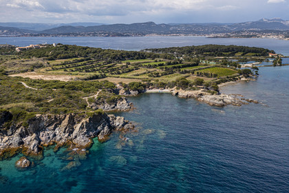 France, Var (83), Six-Fours-les-Plages, Ile des Embiez, plage du Coucoussa en premier plan et vignoble (vue aérienne)
