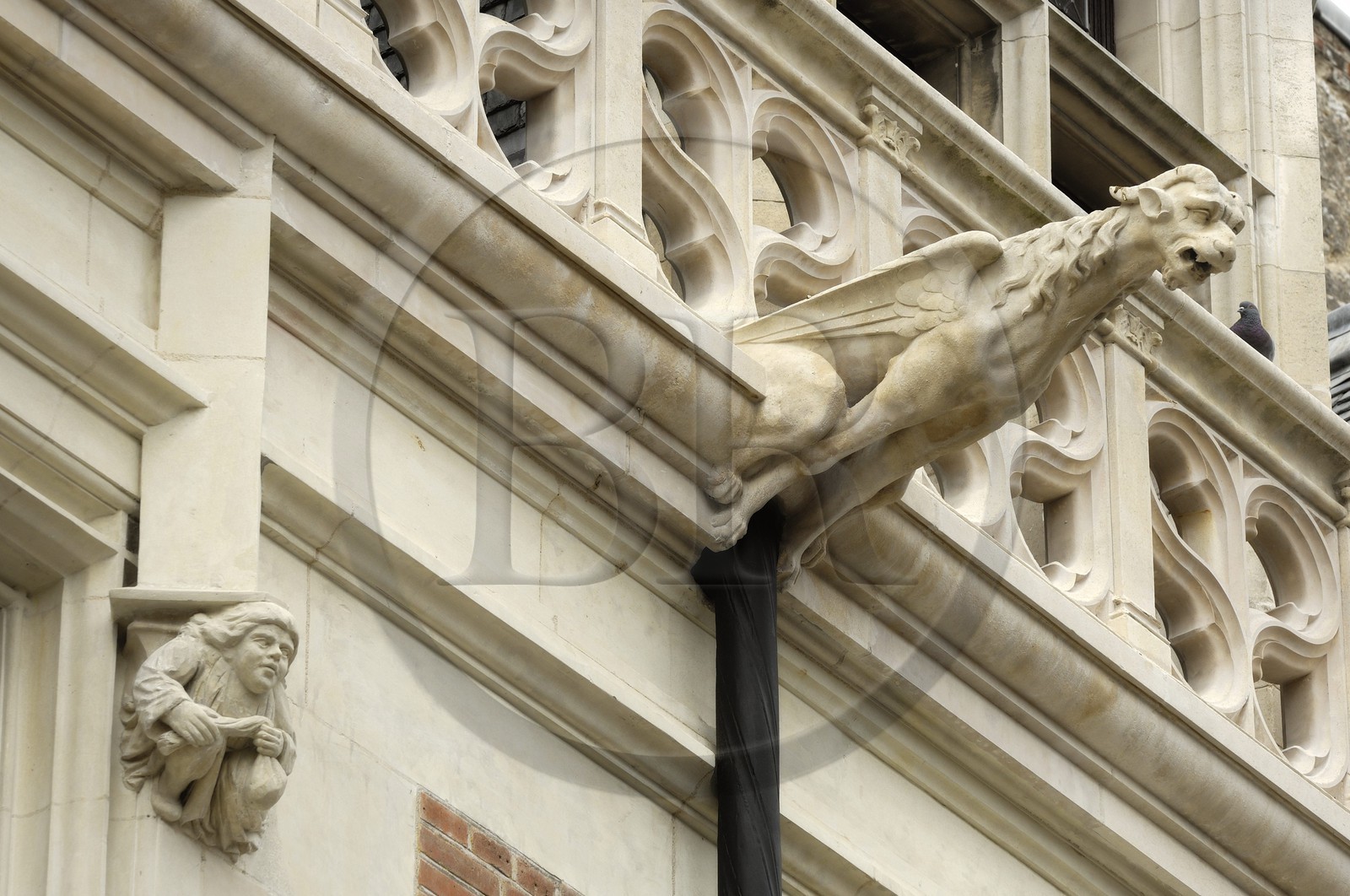 France, Loir et Cher (41), Blois, hôtel d'Alluye rue Saint-Honoré, façade gothico-Renaissance