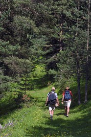 Géorgie, Kakheti, Parc national de Touchétie, randonneurs dans la forêt aux alentours du village de Diklo à la frontière du Daghestan (Russie)