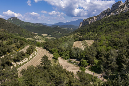 France, Vaucluse (84), Dentelles de Montmirail, Gigondas, la montagne des Dentelles Sarrasines et les vignobles en restanques au col du Cayron, le Mont Ventoux en arrière plan (vue aérienne)