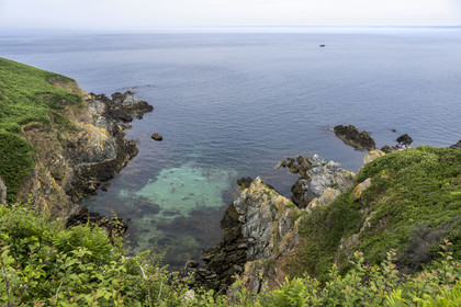 France, Morbihan (56), Ile de Groix, la réserve naturelle Francois Le Bail de la Pointe de Pen-Men