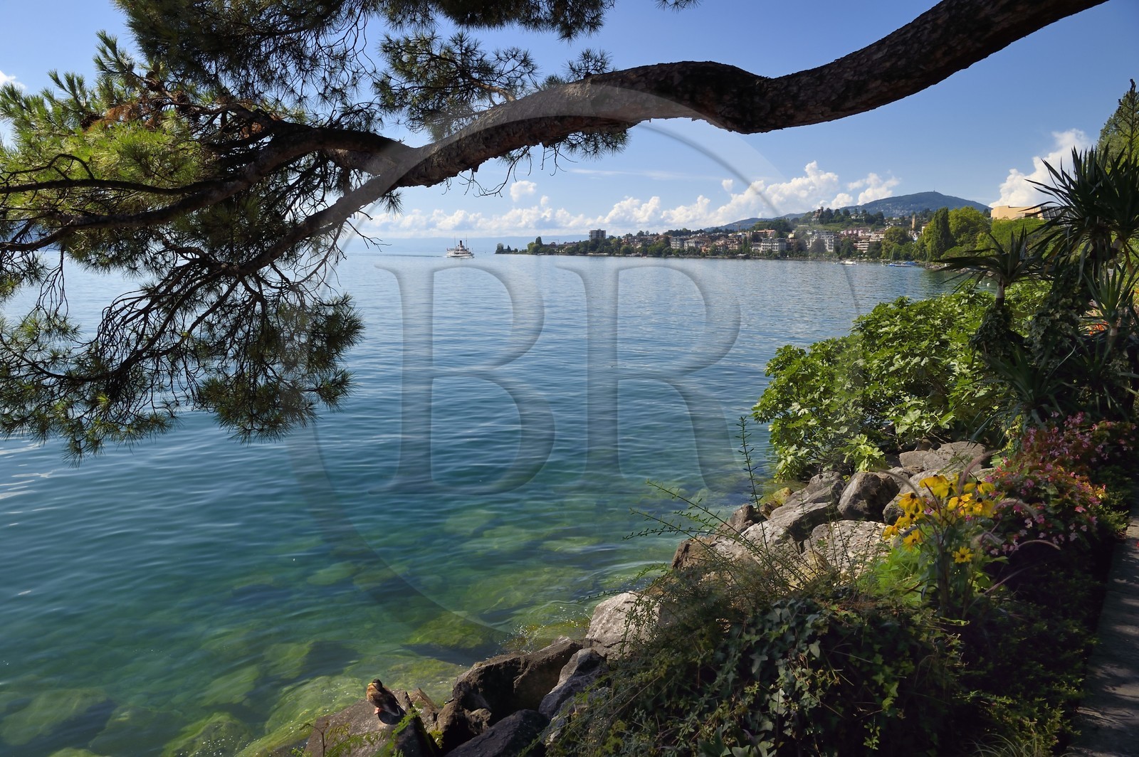 Suisse, Canton de Vaud, Montreux, sur les berges du Lac Léman, le bateau à vapeur à roues à aubes Montreux (1904) de la Compagnie générale de navigation sur le lac Léman (CGN)