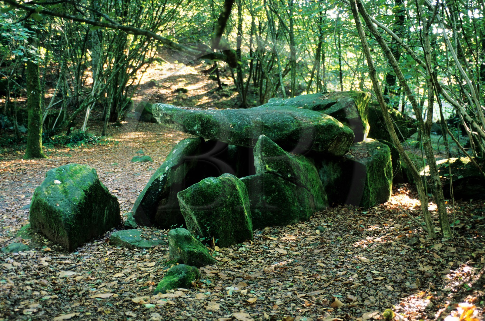 France, Mayenne (53), dolmen de la Contrie près d'Ernée