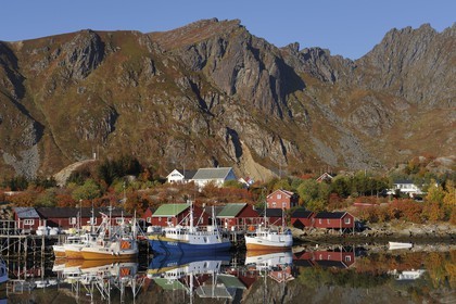 Norvège, Nordland, Iles Lofoten, port de pêche de Ballstad dans l'île de Vestvagoy