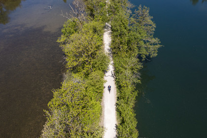 France, Charente (16), Fléac, une cycliste progresse entre deux bras de la Charente sur l'ancien chemin de halage devenu la véloroute La Flow Vélo (vue aérienne)