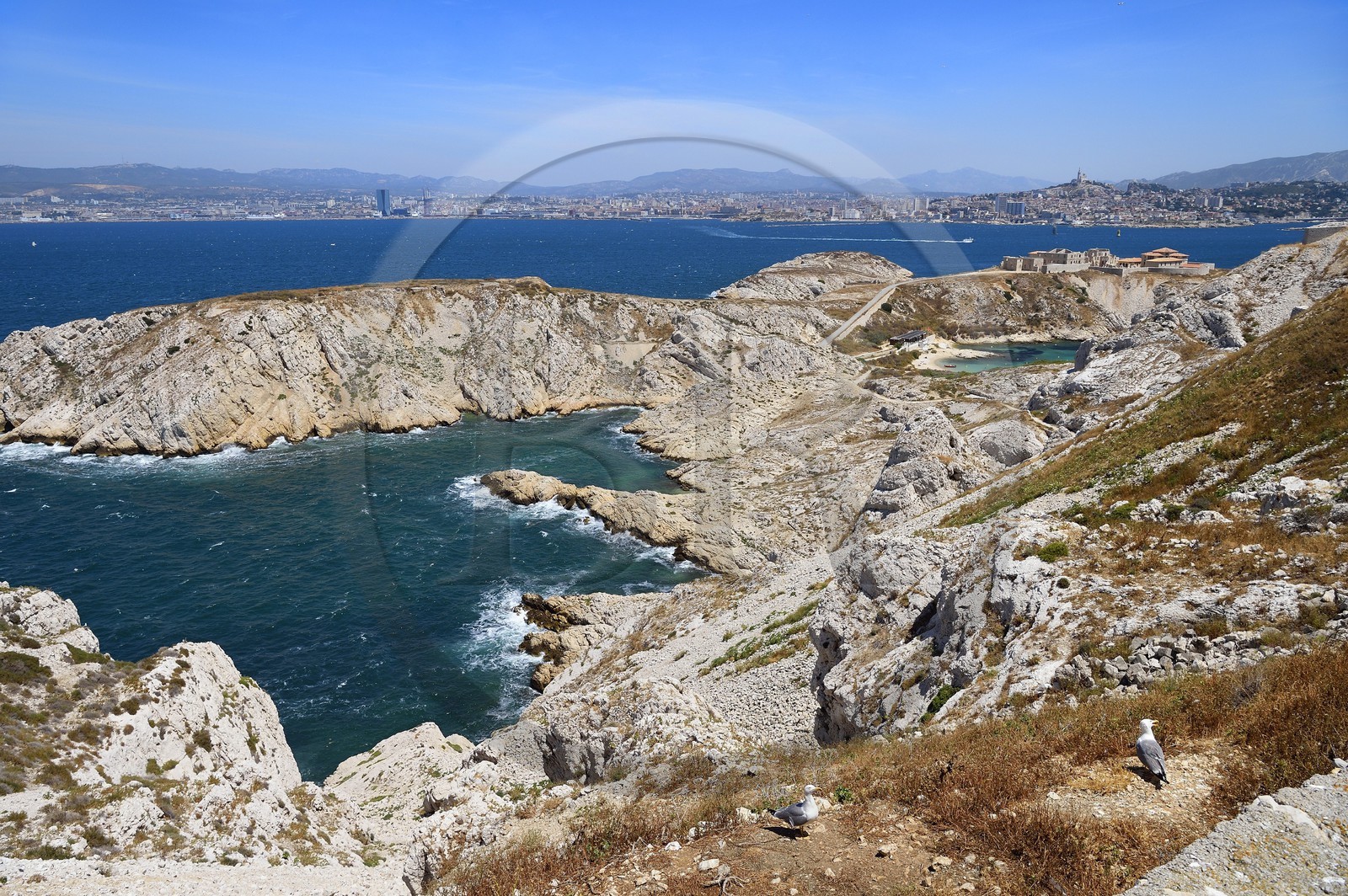 France, Bouches-du-Rhône (13), Marseille, Parc National des Calanques, Archipel des Iles du Frioul, Ile Ratonneau, calanque de l'Eoube, ruines de l'hopital Caroline