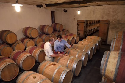 France, Dordogne (24), Creysse vers Bergerac, vignoble de Pécharmant, caves du chateau de Tiregand, Francois-Xavier de Saint-Exupéry proprétaire et viticulteur dans son chai