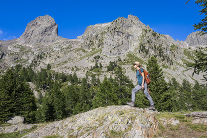 France, Alpes-Maritimes (06), parc national du Mercantour, Haute-Vésubie, Saint-Martin-Vésubie, Val du Haut Boréon, randonneuse au lac des Sagnes vers le refuge de Cougourde, le sommet frontalier du Caïres de Cougourde (2892m) en arrière plan