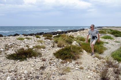 France, Bouches-du-Rhône (13), Parc naturel régional de Camargue, la grande digue frontale en bordure de mer